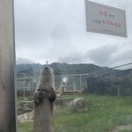 [댓글부탁해] 너네 성격 <b>장단점</b> 뭐라고 생각해?