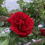 [댓글부탁해] 윤서빈 나만 ㅈㄴ 아깝냐??