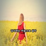 [좋은글귀] 감사하는 마음으로 살자