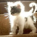 [드루와] 평소에 스트릿 입다가