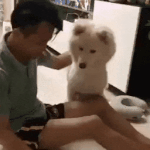 [댓글부탁해] 개지리는 <b>마술</b>쇼