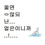지성 각질패드추천좀