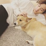 [모두드루와] 4년만에 올라왔다는 엑소 백현과 <b>반려</b>견 몽룡이