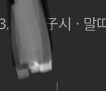 얘들아 03년생 <b>양띠</b>아냐?