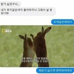 스캐 <b>방영</b>할 때가 ㄹㅇ 절정이엇음