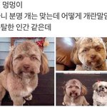 [드루와] <b>대전</b> 사는 사람!!
