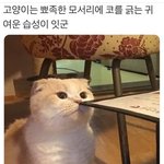 [프듀X] 나만 엑소 <b>러브</b>샷조 별로였냐