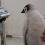 이게 김치녀 소리들을 <b>일임</b>? 들어와봐;;