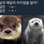 첫키스썰 <b>풀자</b>!!