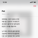 애들아 10센치 <b>pet</b> 꼭 들어봐