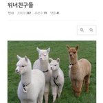 위너 아예 노래 진짜 개좋다