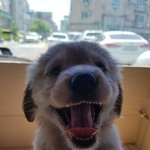 [ㅈㄱㄴ] 잇zㅣ 망하지 않음?
