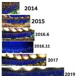 <b>드콘</b>으로 보는 팬덤 화력