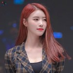 어떤 <b>수식어</b>로도 표현불가해