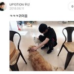 [댓글부탁해] 김우석이 찍은 강아지랑 노는 <b>이진혁</b>