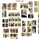 [개깊은빡침] 결혼식 본식 스냅사진 망한 후기