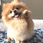 [댓글부탁해] <b>일본</b> 애니에 나올 것 같다는 말이