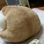 [댓글부탁해] <b>발톱</b>깎는 아빠의 뒷모습.jpg