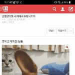 [댓글부탁해] <b>라라</b>봉 배송 느림?