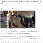 [개깊은빡침] 감사감사))성폭행당한 이천 강아지 <b>청원</b> 부탁드립니다!!!!!