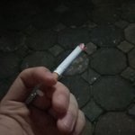 [19] 밴인지 아닌지 <b>실험</b>