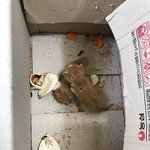 냥이 줍했습니다.