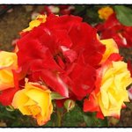 [오 ' 이오 ] 축제로 오세요~