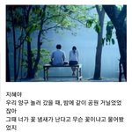 말해주고싶다. <b>아카시아</b>였다고