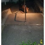 [댓글부탁해] <b>산책</b> 나왔다 ㅈ된 디씨인...