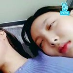 [모두드루와] 다들 <b>인어</b> 보고 가라