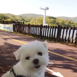 오늘자 <b>산책</b> ❤️