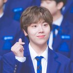 [프듀X] 프엑)영업))71위 연습생 정명훈을 응원합니다!