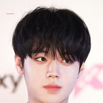 적당히를 모르는 박지훈