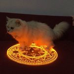 묻겠다! 그대가 나의 <b>집사</b>인가