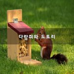[이것좀봐줘] 다람쥐와 도토리~