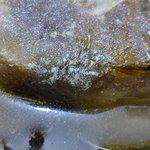 얘들아 이거 <b>동결</b>된 기름끼?