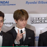 [취향연예인] NCT <b>DREAM</b> 드림콘서트 ㅊㅋㅊㅋ