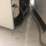 [방탈죄송][조언부탁]바퀴벌레가 나오는 냉장고[혐주의!!]