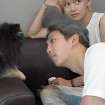 [방탄소년단] 왜...넌... <b>동물</b>에게까지..