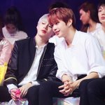 [모두드루와] 귀여운 댕댕<b>즈</b>