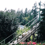 오리<b>전용</b> 놀이터ㅋㅋㅋ