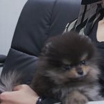 [드루와] 나 트위터 진짜 이해 안가는게
