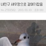 [댓글부탁해] <b>흑발</b>염색약싸고앵간한거없ㄴ ㅠㅜ