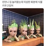 [댓글부탁해] 공부 못하는애들 특징 ㅇㄱㄹㅇ인듯