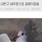 이거 무슨노래야????? 개급해 ㅉㅂㅈㅂ