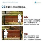 사진 잘 찍는 본인의 팁이 있어?