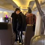 [방탄소년단] 이건 정말 특급<b>대우</b>야