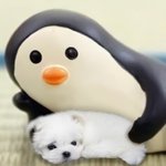 국가 기밀 유출 진짜 <b>언론</b> 다 실망스러움