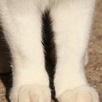 체대 때 반짝이 붙일<b>라다</b>가 병원 옴 __