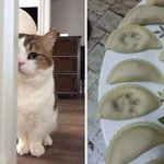 [댓글부탁해] 요즘 고<b>딩들</b>은 뭐 좋아해?